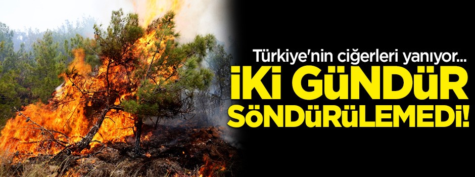 Türkiye'nin ciğerleri yanıyor! İki gündür söndürülemedi