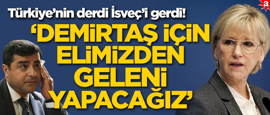 Türkiye'nin derdi İsveç'i gerdi! ‘Demirtaş için elimizden geleni yapacağız’