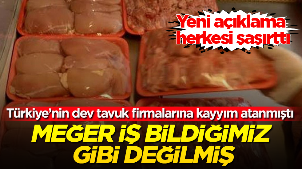 Türkiye’nin dev tavuk firmalarına kayyım atanmıştı! Yeni açıklama herkesi şaşırttı: Meğer iş bildiğimiz gibi değilmiş