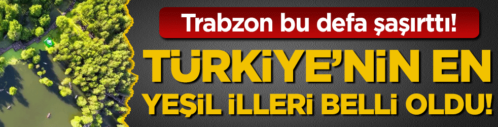 Türkiye'nin en yeşil ili belli oldu! Trabzon bu defa şaşırttı!