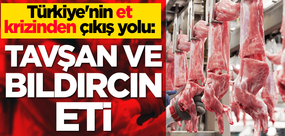 Türkiye'nin et krizinden çıkış yolu: Tavşan ve bıldırcın eti!