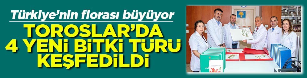 Türkiye’nin florası büyüyor Toroslar'da 4 yeni bitki türü keşfedildi