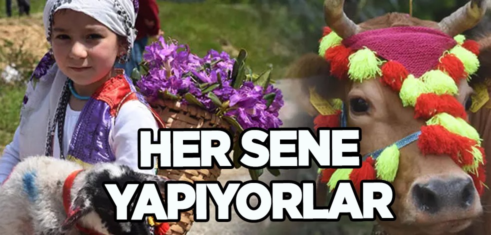 Türkiye'nin haritasında göç: 116 yıldır devam eden gelenek! O şehirde her sene yapıyorlar, kimse bilmiyor