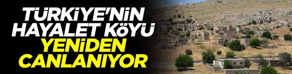 Türkiye'nin hayalet köyü yeniden canlanıyor