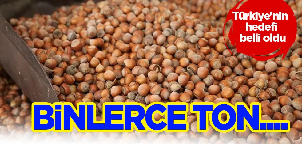Türkiye'nin hedefi belli oldu: En az 300 bin tonun üzerinde fındık! Gereken işlem yapılacak
