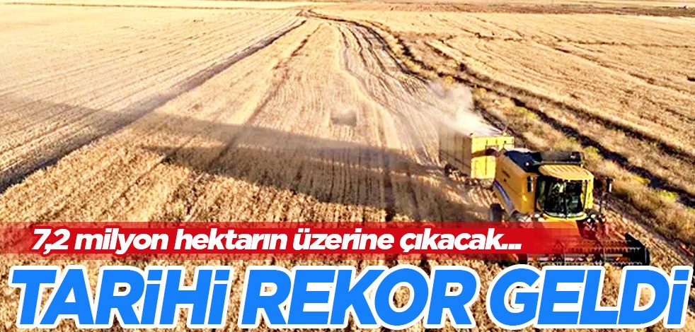 Türkiye'nin hububatta ihracat geliri: Dört ayda milyar dolarlık ihracat rekoru kırıldı