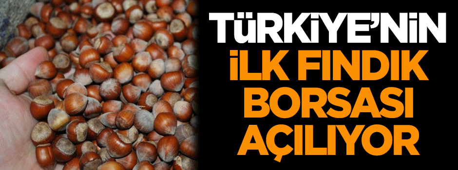 Türkiye'nin ilk fındık borsası açılıyor