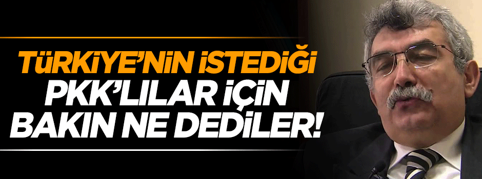 Türkiye'nin istediği PKK'lılara sığınmacı dediler!