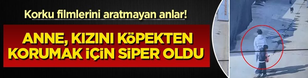 Türkiye’nin kanayan yarası Çin’de de yaşandı! Köpek dehşeti kamerada: Evladına canı pahasına siper oldu