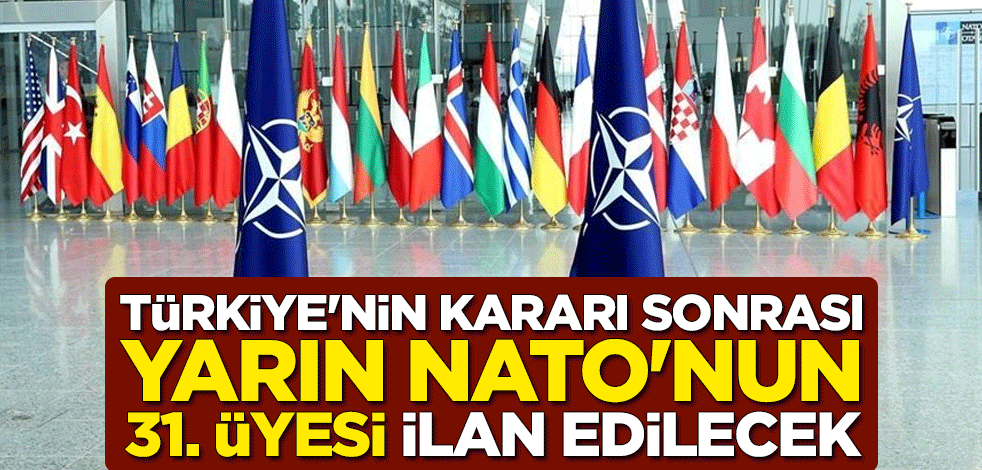 Türkiye'nin kararı sonrası Finlandiya, yarın NATO'nun 31. üyesi ilan edilecek