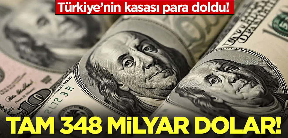 Türkiye'nin kasası para doldu: Tam 348 milyar dolar!