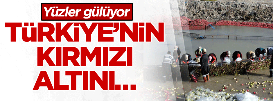 Türkiye’nin kırmızı altını… Yüzler gülüyor