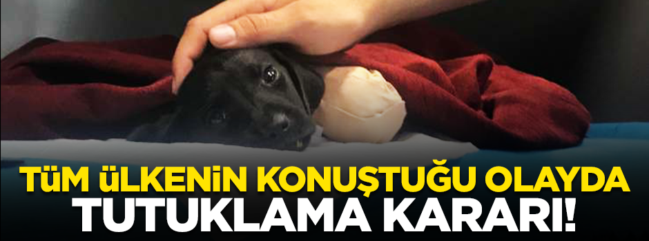 Türkiye'nin konuştuğu olayda kepçe operatörü tutuklandı