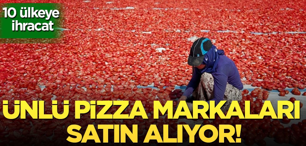 Dünyaca ünlü pizza markaları bu kurutulmuş domatesleri tercih ediyor! Erciyes'ten 10 ülkeye ihraç ediliyor