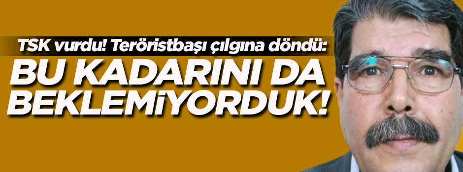 Türkiye'nin operasyonu teröristbaşı Müslim'i çıldırttı