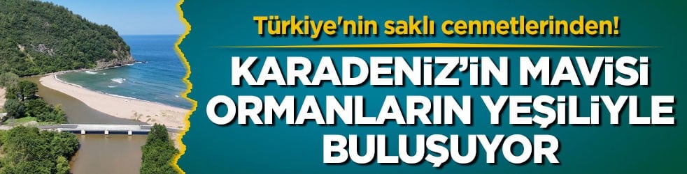 Türkiye'nin saklı cennetlerinden! Karadeniz’in mavisi ormanların yeşiliyle buluşuyor