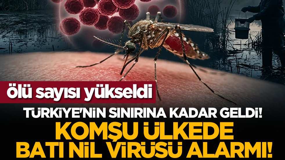 Türkiye'nin sınırına kadar geldi! Komşu ülkede Batı Nil virüsü alarmı! Ölü sayısı yükseldi