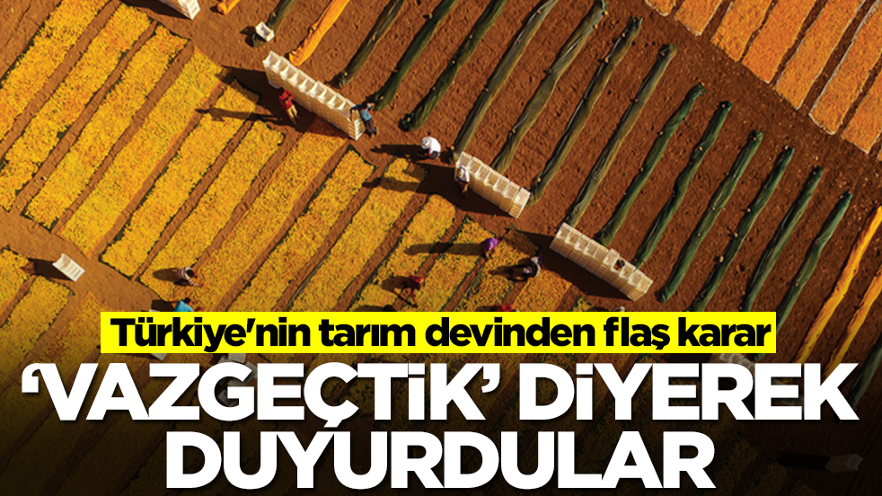 Türkiye'nin tarım devinden flaş karar: 'Vazgeçtik' diyerek duyurdular