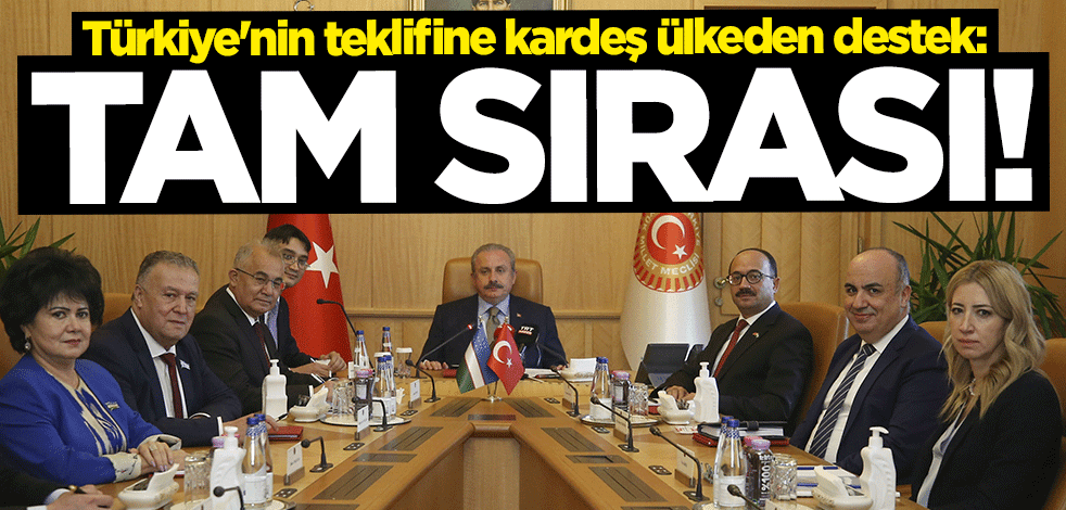 Türkiye'nin teklifine kardeş ülkeden destek: Tam sırası