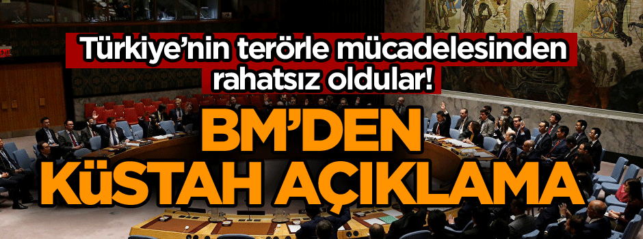 Türkiye’nin terörle mücadelesinden rahatsız oldular! BM’den küstah açıklama