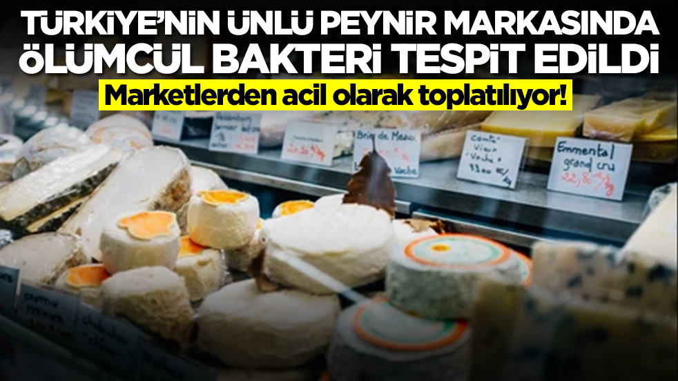 Türkiye'nin ünlü peynir markasında ölümcül bakteri bulundu: Acil olarak piyasadan toplatılıyor, sakın tüketmeyin