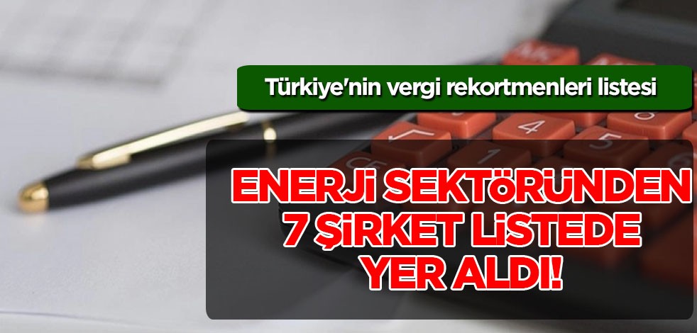 Türkiye'nin vergi rekortmenleri açıklandı: Enerji sektöründen 7 enerji şirketi yer aldı! 16,8 milyar lira...