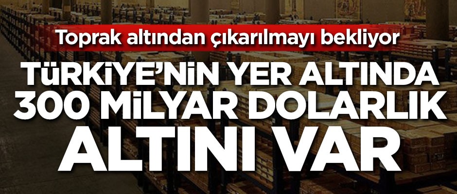 Türkiye'nin yer altında 300 milyar doları var!