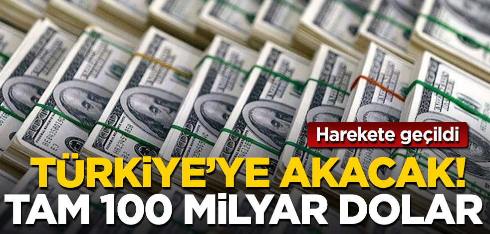 Türkiye'ye akacak! Tamı tamına 100 milyar dolar! Harekete geçildi