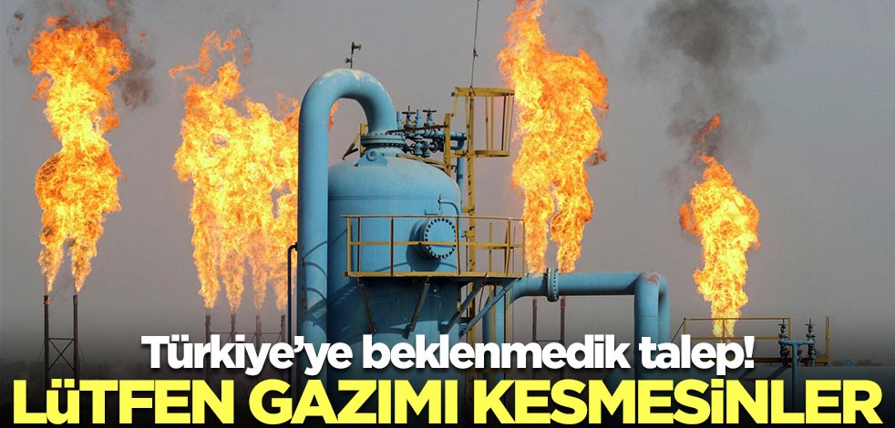 Türkiye'ye beklenmedik talep! Lütfen gazımızı kesmesinler