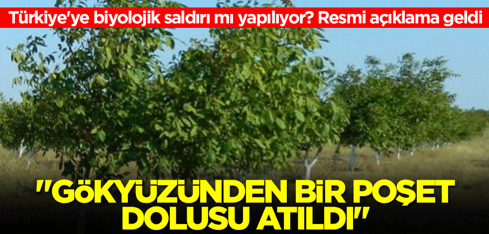 Türkiye'ye biyolojik saldırı mı yapılıyor? 'Gökyüzünden bir poşet dolusu atıldı'