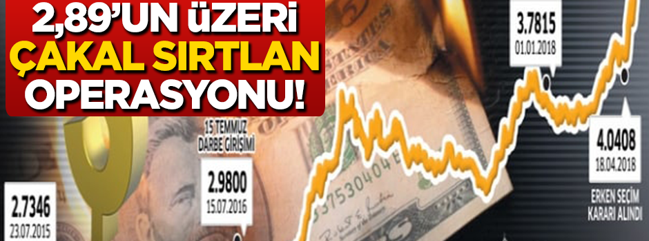 Türkiye'ye çakal sırtlan operasyonu