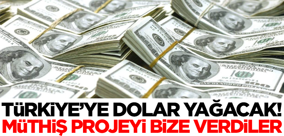 Türkiye'ye dolar yağacak! Müthiş projeyi bize verdiler
