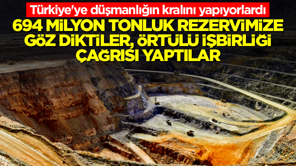 Türkiye'ye düşmanlığın kralını yapıyorlardı: 694 milyon tonluk rezervimize göz diktiler, örtülü iş birliği çağrısı yapıldı