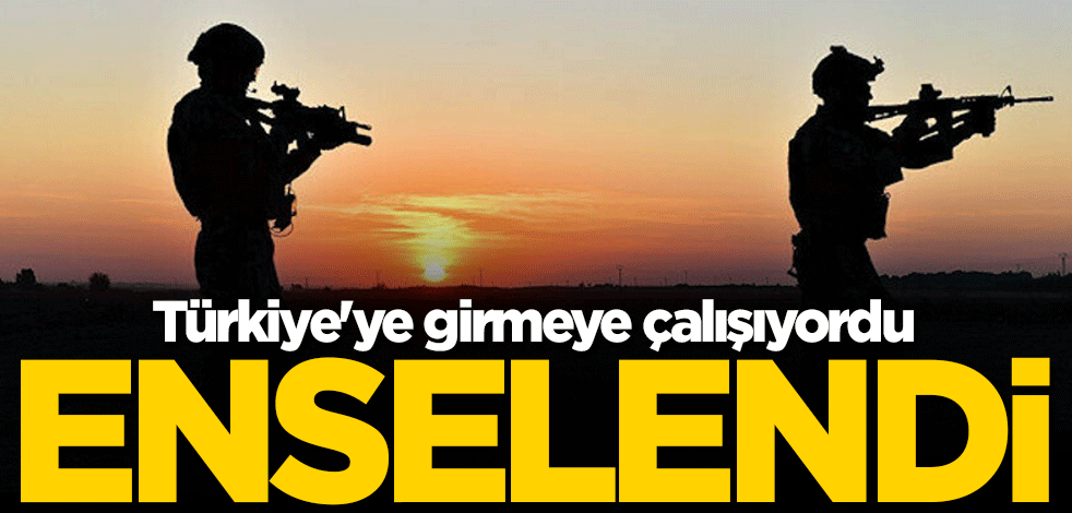 Türkiye'ye girmeye çalışıyordu! Enselendi