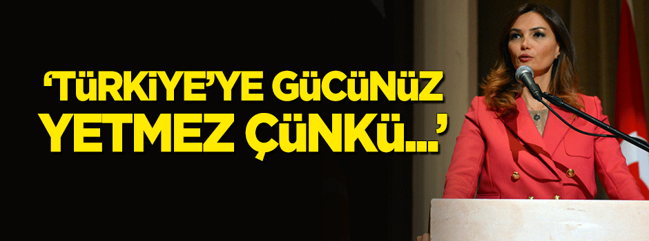 "Türkiye'ye gücünüz yetmez çünkü..."