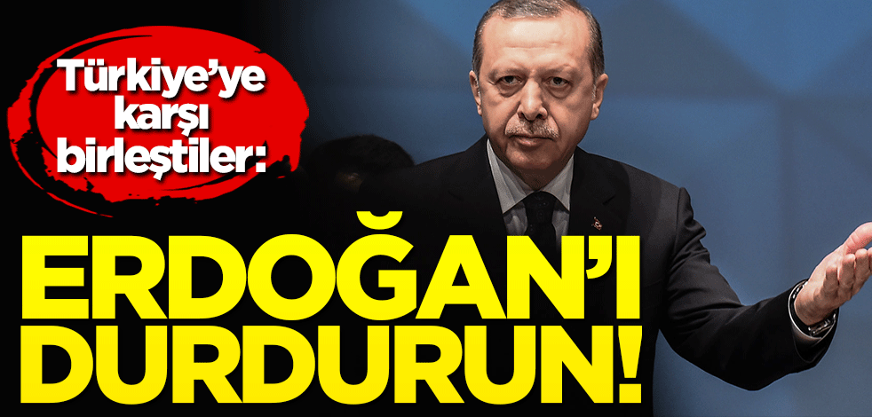 Türkiye'ye karşı birleştiler! "Erdoğan’a engel olun"