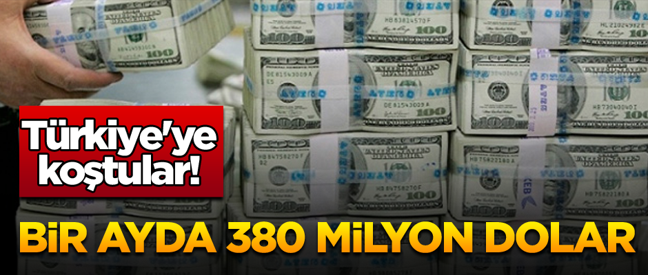 Türkiye'ye koştular! Bir ayda 380 milyon dolar