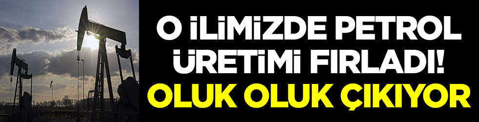 Türkiye'ye müjde! O ilimizde petrol üretimi fırladı: Oluk oluk çıkıyor