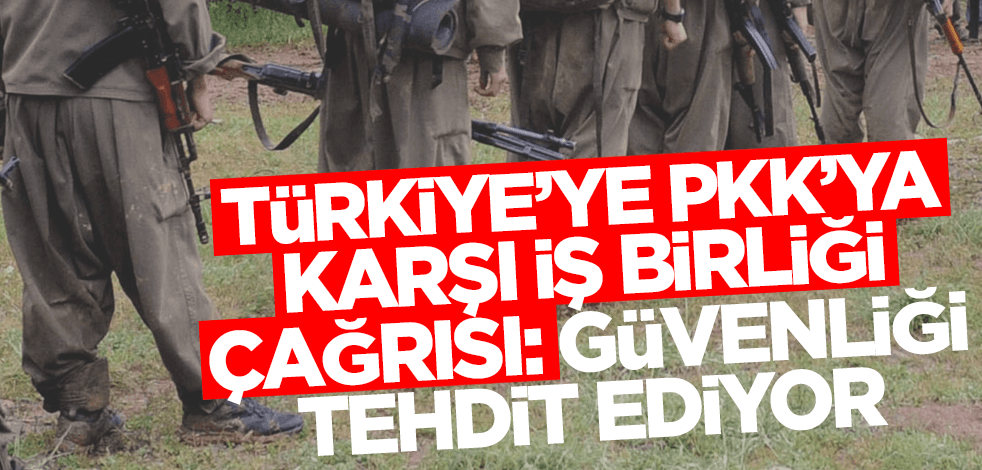 Türkiye'ye PKK'ya karşı iş birliği çağrısı: Güvenliği tehdit ediyor