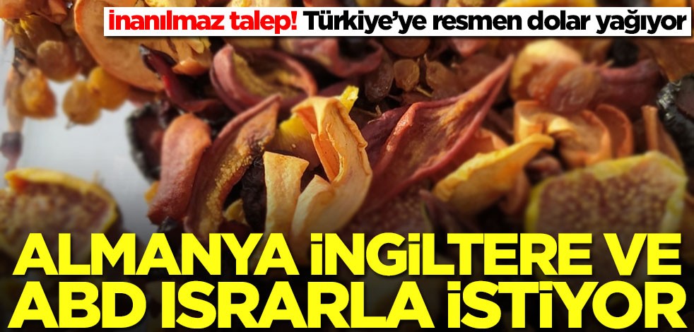 Türkiye'ye resmen dolar yağdırıyor! ABD, İngiltere ve Almanya ısrarla istiyor