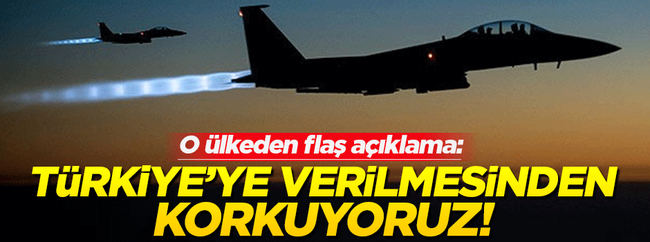 'Türkiye'ye verilmesinden korkuyoruz'