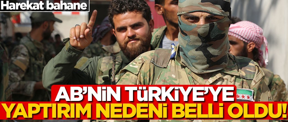 Türkiye'ye yaptırım kararı almışlardı... Dertleri belli oldu! Harekat bahane...