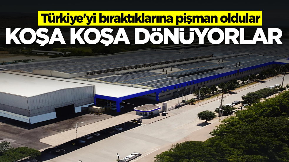 Türkiye'yi bıraktıklarına pişman oldular: Koşa koşa geri dönüyorlar
