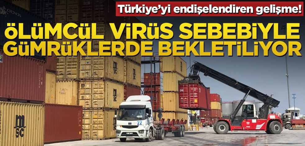 Türkiye’yi endişelendiren gelişme! Ölümcül virüs sebebiyle gümrüklerde bekletiliyor