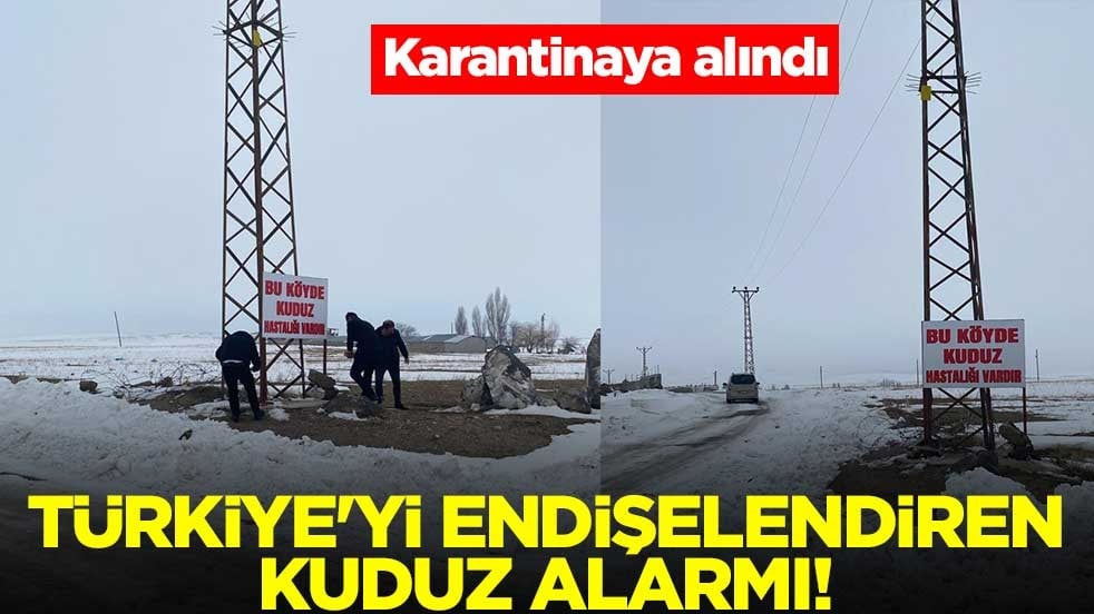 Türkiye'yi endişelendiren kuduz alarmı! Karantinaya alındı