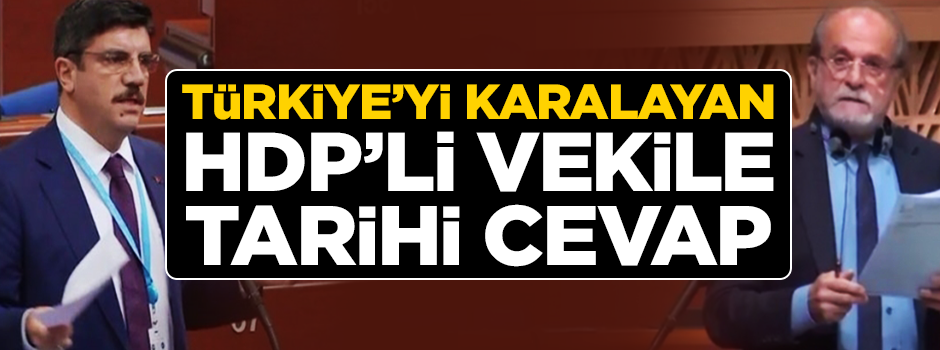 Türkiye'yi karalayan HDP'li vekile tarihi cevap