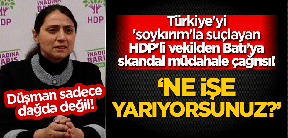 Türkiye'yi 'soykırım'la suçlayan HDP'li vekilden Batı'ya skandal müdahale çağrısı! "Ne işe yarıyorsunuz?"
