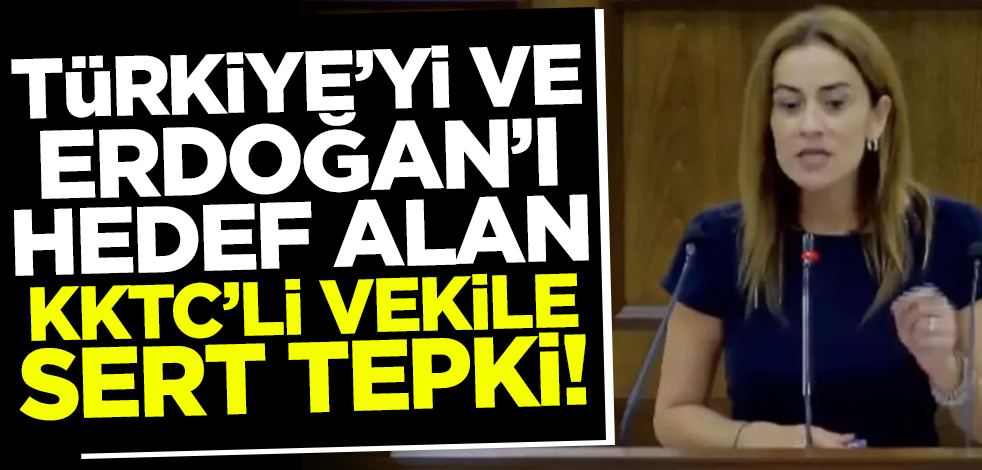 Türkiye'yi ve Cumhurbaşkanı Erdoğan'ı hedef alan KKTC'li vekile sert tepki