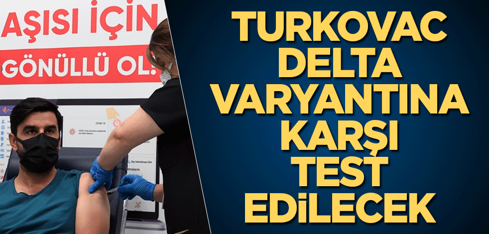 TURKOVAC Delta varyantına karşı test edilecek