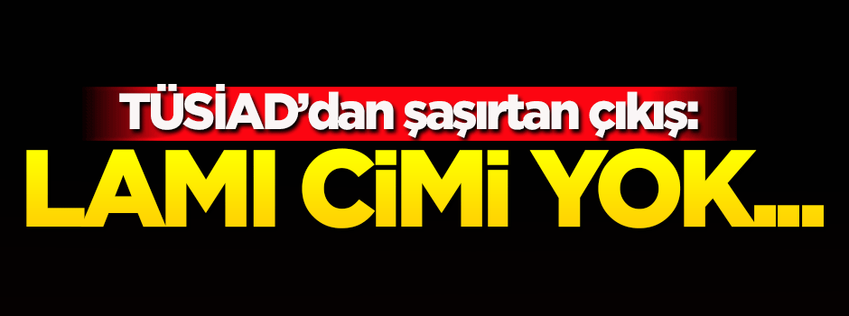 TÜSİAD'dan şaşırtan çıkış: Lamı cimi yok...